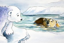 Cold polar bear