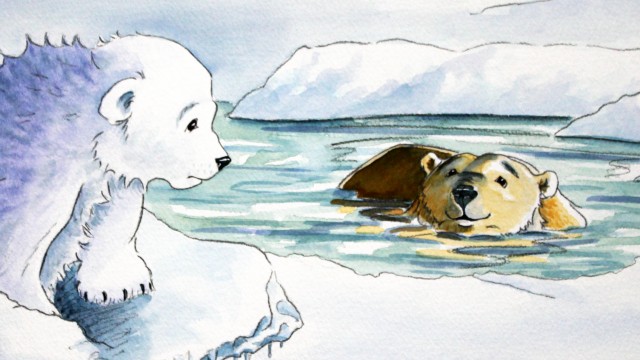 Cold polar bear