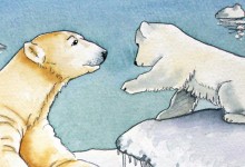 Polar bears