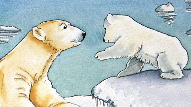 Polar bears