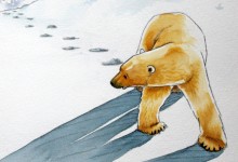 Bears walking